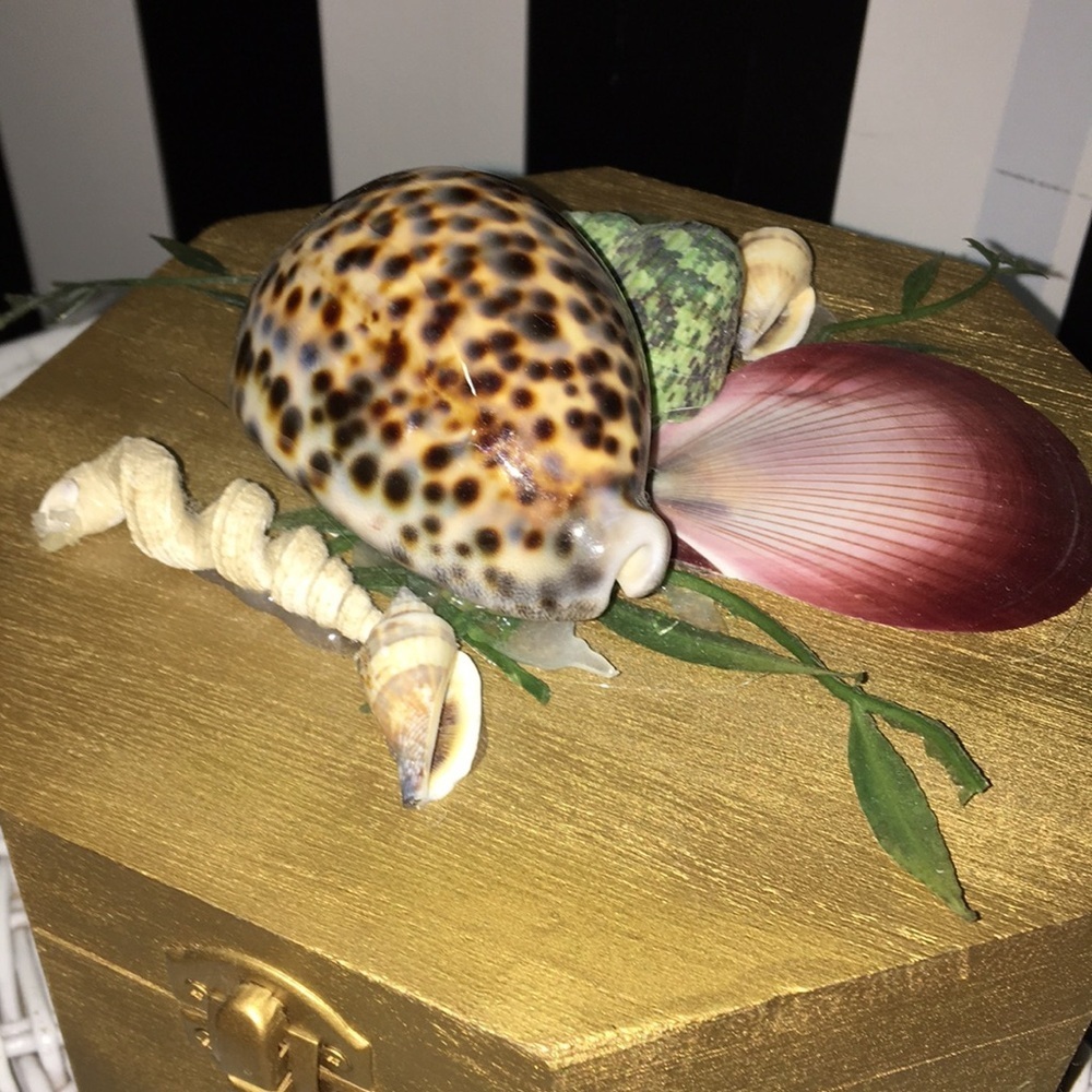 Octagon Shaped Wood Trinket Box With Real Shells on Top Hinged & Latch - Picture 4 of 14